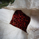 Esmerelda Coffee Cherries